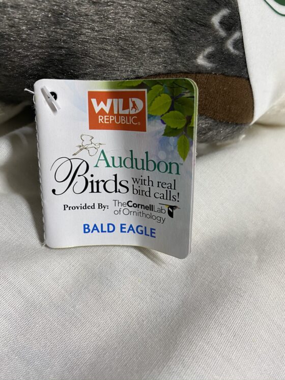 Audobon Eagle - Image 2