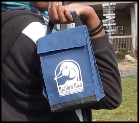 Lunch Bag
