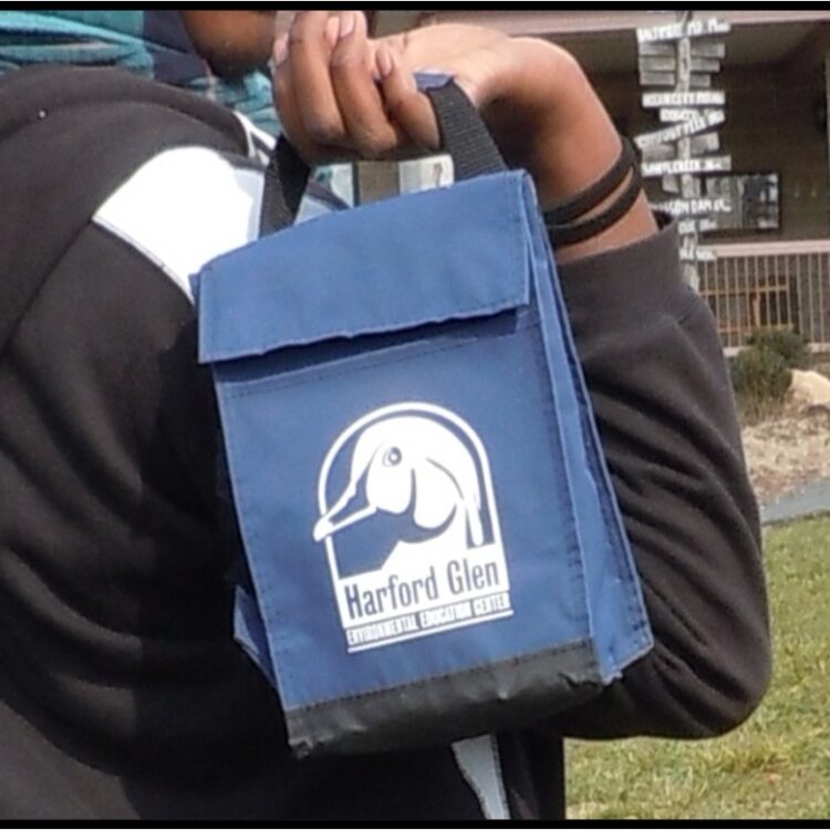 Lunch Bag