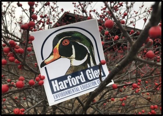 Harford Glen Sticker