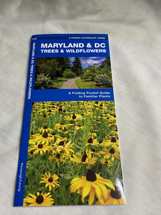 Field Guide:  Trees and Wildflowers