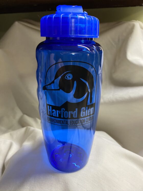 Water Bottle